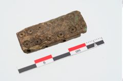 Foto von Beinschieber (NHMW-PRAE-023930)